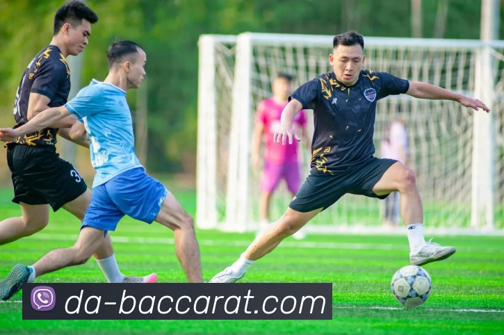 百家乐官网平台生态图