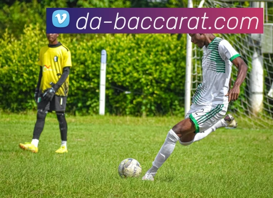 百家乐官网APP 封面图