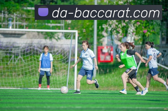 数据防护可视化